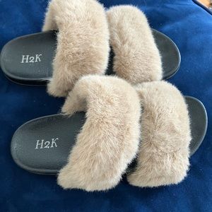 H2K slides